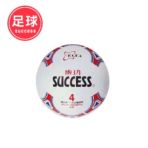 成功SUCCESS 彩色防滑健腹雙輪(海綿握把)S5203 歷史價格詳細信息