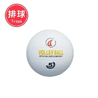 TROPS 97紫標比賽級羽球(12入) 45097 歷史價格詳細信息