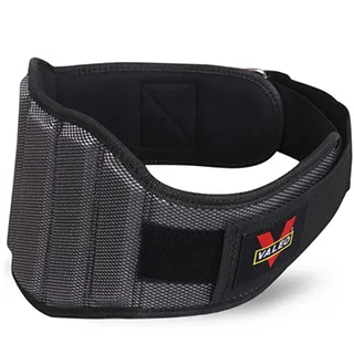VALEO 深蹲舉重健身腰帶-L-85cm 歷史價格詳細信息