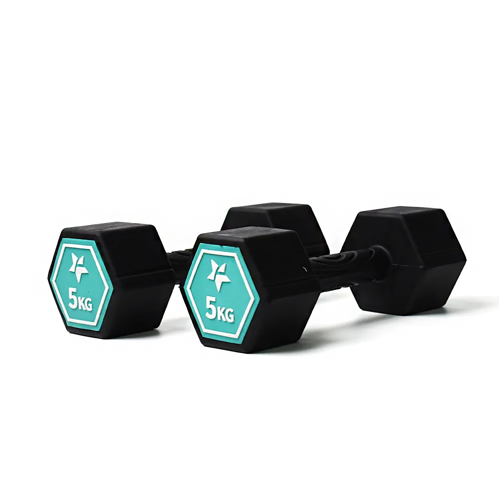 Fun Sport-奇樂力-波紋防滑啞鈴-1kgx2 歷史價格詳細信息