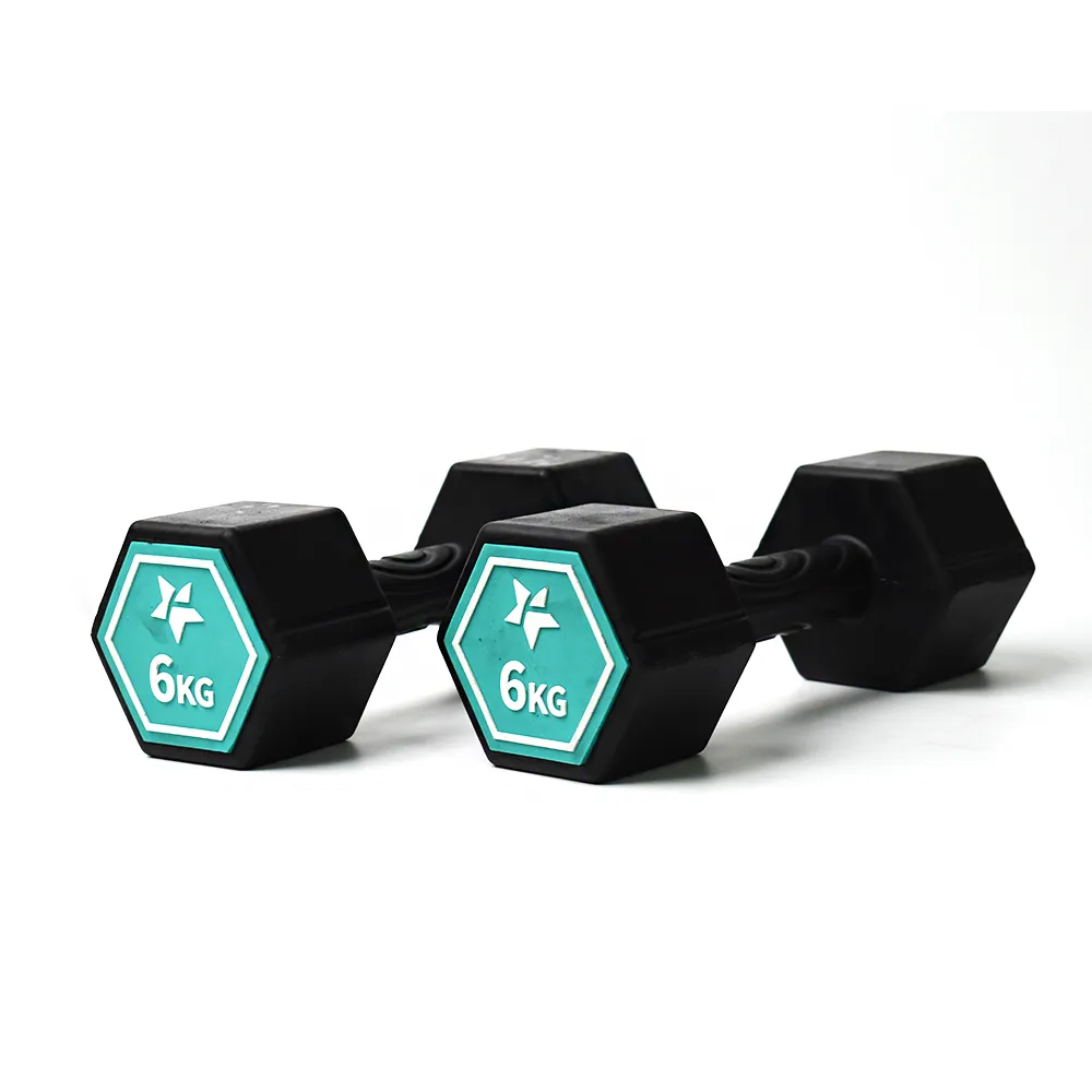 Fun Sport-奇樂力-波紋防滑啞鈴-1kgx2 歷史價格詳細信息