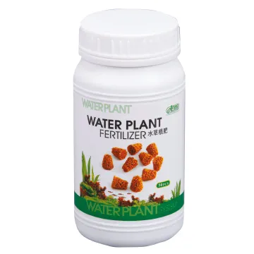 ISTA 水草根肥 20粒 歷史價格詳細信息