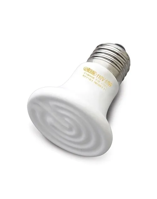 【ISTA 伊士達】遠紅外線陶瓷加熱器（白S）60W-100W(陶瓷暖燈 保暖燈泡) 歷史價格詳細信息