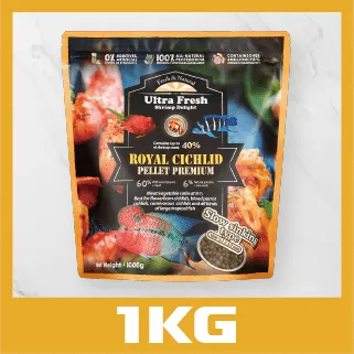 鮮蝦食譜 - [大型挑嘴 海水熱帶魚] 全營養魷魚大蒜鮮蝦堡330ml 歷史價格詳細信息