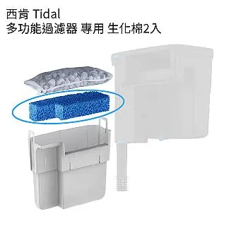 TIDAL HIFI Master 最高音質 代辦美版全新個人會員 美版送1個月 數量有限 歷史價格詳細信息