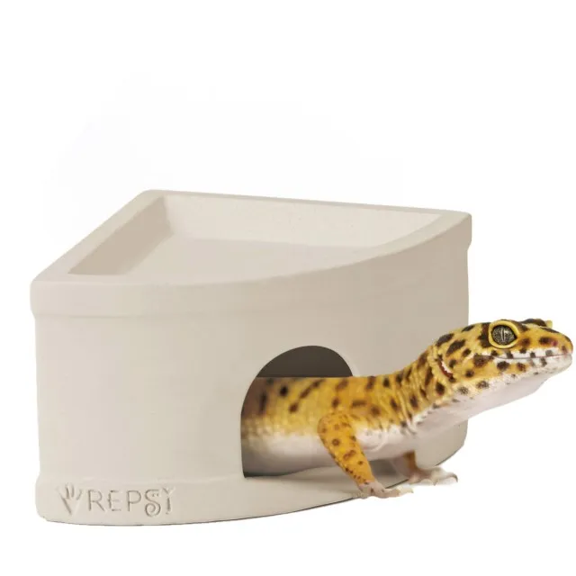 蜥蜴繪本：角落小夥伴天空藍的每一天/橫溝由里【城邦讀書花園】 歷史價格詳細信息