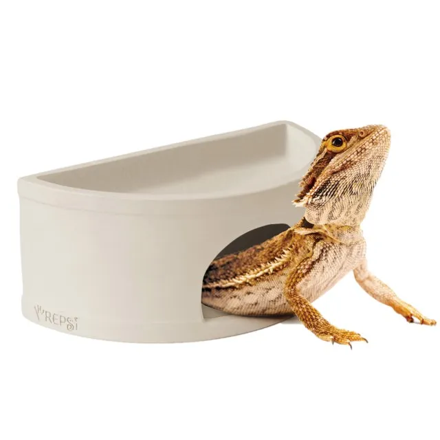 蜥蜴繪本：角落小夥伴天空藍的每一天/橫溝由里【城邦讀書花園】 歷史價格詳細信息