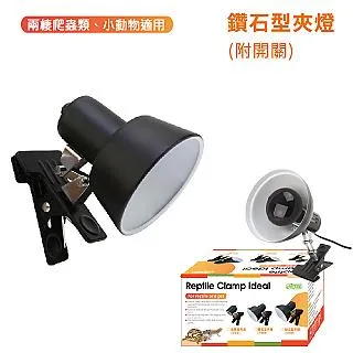 鑽石型淋浴房隔斷不鏽鋼浴室隔斷聖莉亞洗澡間鋼化玻璃隔斷淋雨房 歷史價格詳細信息