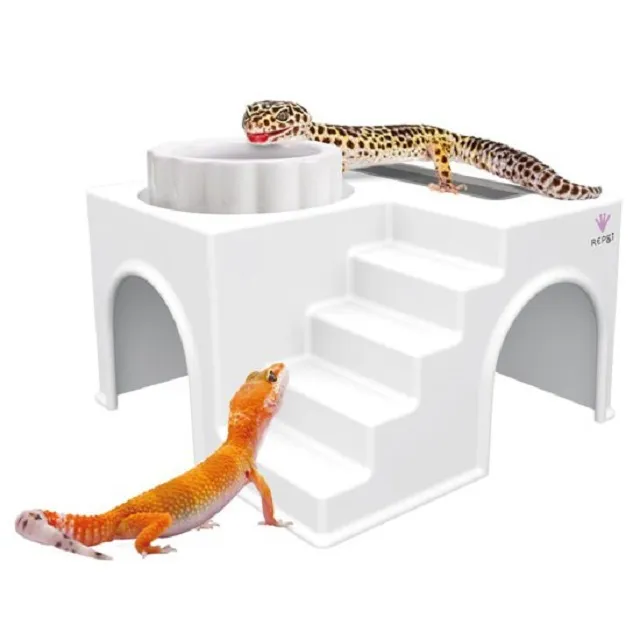 蜥蜴繪本：角落小夥伴天空藍的每一天/橫溝由里【城邦讀書花園】 歷史價格詳細信息