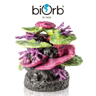 OASE biOrb 棕櫚樹造型中柱/小 歷史價格詳細信息