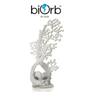 OASE biOrb珊瑚扇與貝殼組 歷史價格詳細信息