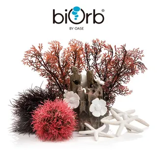 OASE biOrb 蘑菇樹幹造型中柱(中) 歷史價格詳細信息