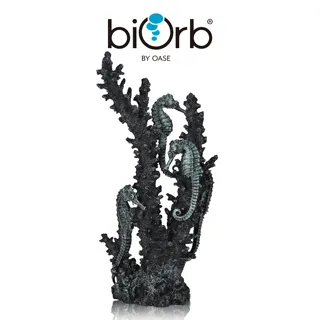 OASE biOrb 仿真海葡萄與海藻(深綠) 歷史價格詳細信息