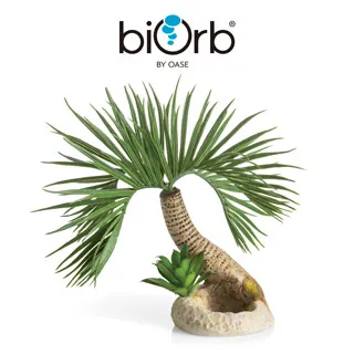 OASE biOrb 樹根造型中柱 歷史價格詳細信息