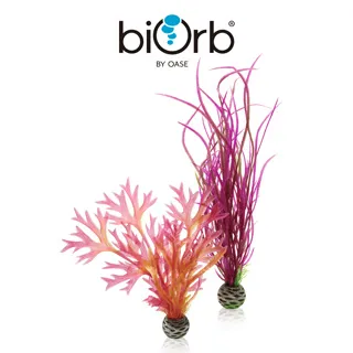 OASE biOrb 紅森林裝飾套組15L 歷史價格詳細信息