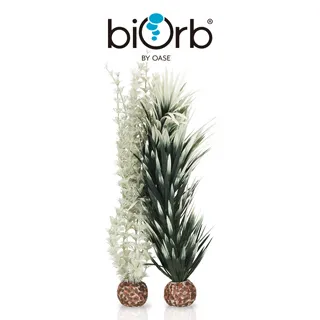 OASE biOrb 仿真貝殼3入組(白色) 歷史價格詳細信息