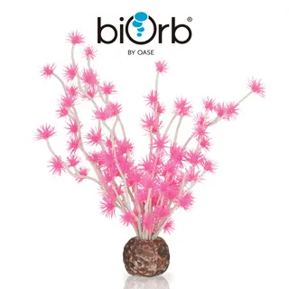 OASE biOrb 小花園裝飾套組15L 歷史價格詳細信息
