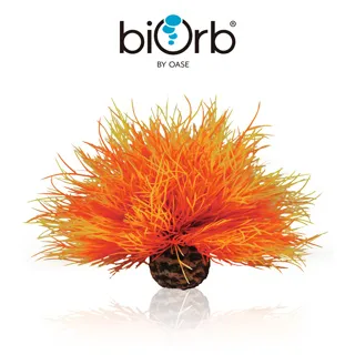 OASE biOrb 仿真貝殼3入組(白色) 歷史價格詳細信息