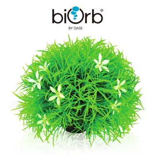 OASE biOrb 仿真貝殼3入組(白色) 歷史價格詳細信息