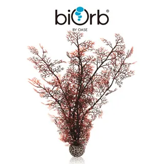 OASE biOrb 紅森林裝飾套組15L 歷史價格詳細信息
