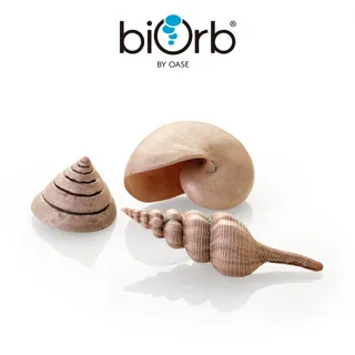 OASE biOrb 貝殼樹造型中柱 歷史價格詳細信息