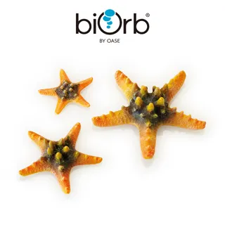 OASE biOrb 仿真貝殼3入組(白色) 歷史價格詳細信息