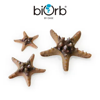 OASE biOrb 仿真海星3入組(黃色) 歷史價格詳細信息