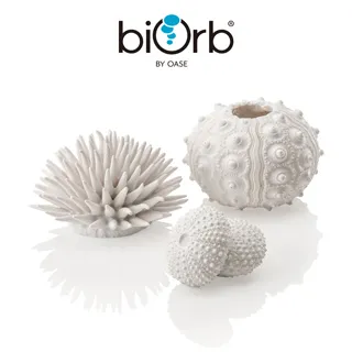 OASE biOrb 仿真海葡萄與海藻(深綠) 歷史價格詳細信息