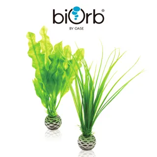 OASE biOrb 仿真綠色草苗 (中) 歷史價格詳細信息