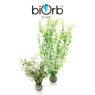 OASE biOrb 造型水草球(橘色) 歷史價格詳細信息