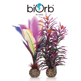 OASE biOrb 仿真小刺松(黑色) 歷史價格詳細信息