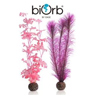 OASE biOrb 中型仿真海馬珊瑚礁中柱(自然色) 歷史價格詳細信息