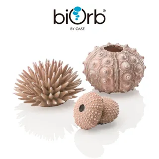 OASE biOrb 仿真海葡萄與海藻(深綠) 歷史價格詳細信息