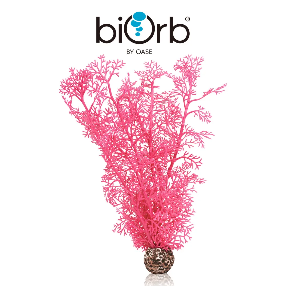 OASE biOrb 粉色仿真海草組(小) 歷史價格詳細信息