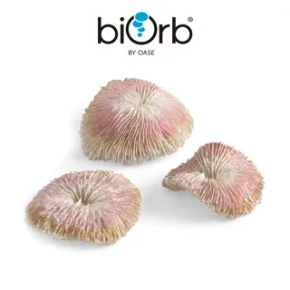OASE biOrb 仿真盤形珊瑚組 歷史價格詳細信息