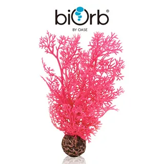 OASE biOrb 粉色仿真海草組(小) 歷史價格詳細信息
