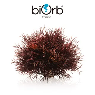 OASE biOrb 紅森林裝飾套組15L 歷史價格詳細信息