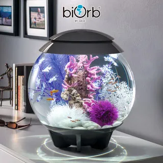 OASE biOrb 棕櫚樹造型中柱/小 歷史價格詳細信息