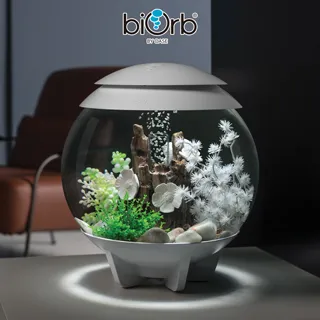 OASE biOrb 棕櫚樹造型中柱/小 歷史價格詳細信息