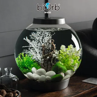 Oase #69: Posities / Positions -9789056624866 絕版英文設計書 [建築人設計人的店-上博圖書] 歷史價格詳細信息