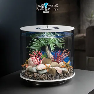 OASE biOrb 棕櫚樹造型中柱/小 歷史價格詳細信息