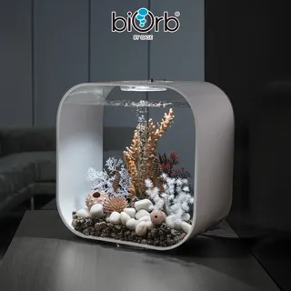 OASE biOrb 棕櫚樹造型中柱/小 歷史價格詳細信息