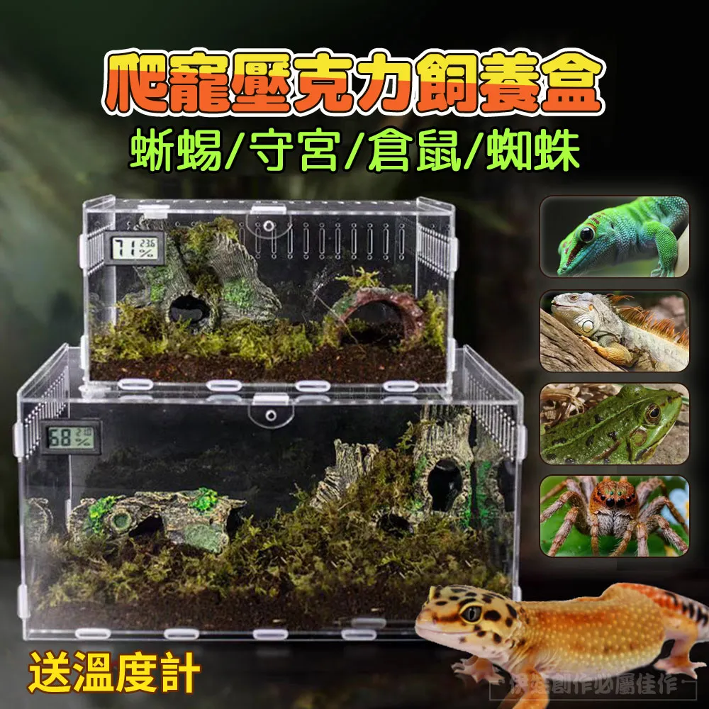 生態缸烏龜缸 家用飼養玻璃魚缸 帶曬台造景龜缸 烏龜飼養箱 底部排水 別墅烏龜專用缸 歷史價格詳細信息