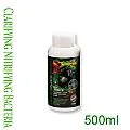 ISTA 優質強力除藻劑 240ml 歷史價格詳細信息