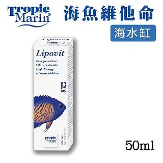 Tropic Hats Summer Wide Brim Mesh Safari/Outback W/Neck Flap &amp; Snap Up Sides 歷史價格詳細信息