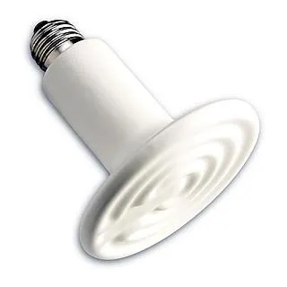 1200w遠紅外碳纖維電暖器 壁掛式電暖器 對流式碳晶取暖氣 歷史價格詳細信息