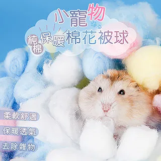 小寵物避暑清涼降溫陶瓷窩 金絲熊 倉鼠 龍貓刺蝟松鼠蜜袋鼯陶瓷窩 歷史價格詳細信息