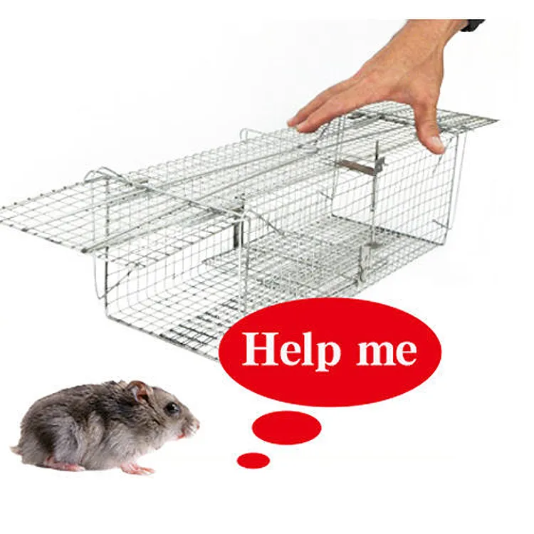 鼠籠式洗薯機 土豆清洗機 澱粉機配套設備 歷史價格詳細信息