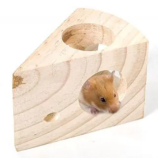 Canary~元氣犬用麵包(蔓越莓果粒) 90g 歷史價格詳細信息