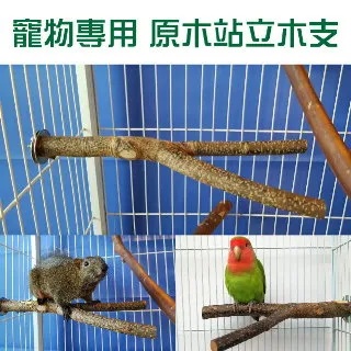 【木支基】解壓柯基木魚(心 解壓玩具 打擊樂器 律動 可愛 擺件 禮物 辦公桌 迴向) 歷史價格詳細信息